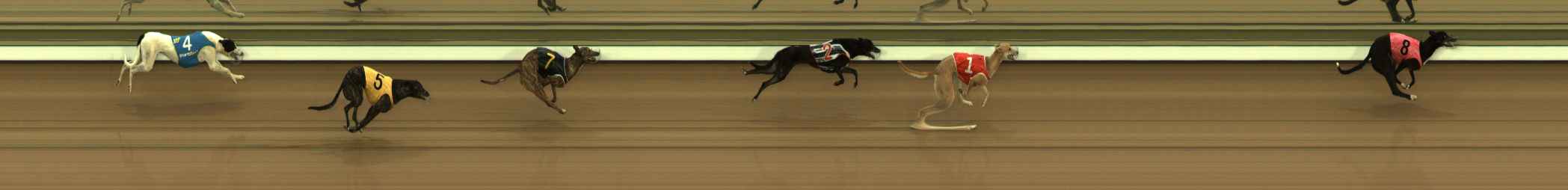 Race result finish photo